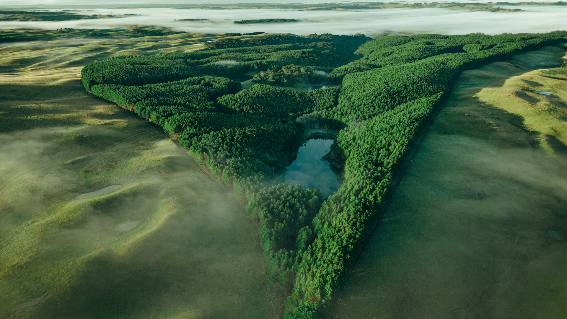 Vista aérea de mata com lago cercada por campos